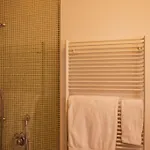 The View